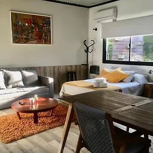  Apartamento Mendoza Monoambiente Estilo Industrial Argentina